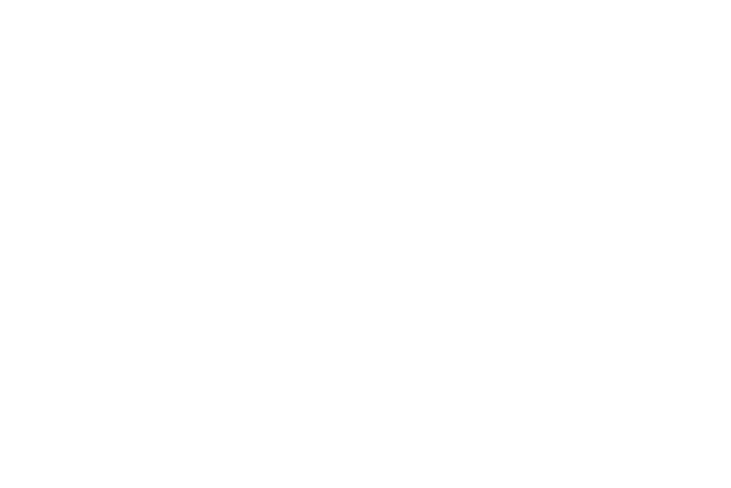 FGI Yacht Group